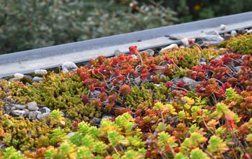 the cost of Blairgowrie green roof installation