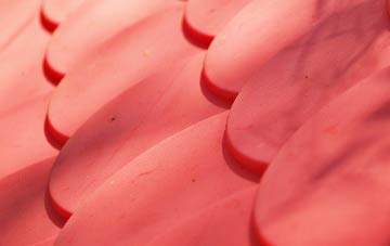 Blairgowrie plastic roof costs