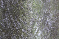 Blairgowrie fibreglass roof work